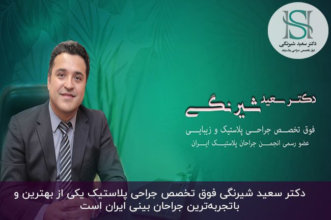 بهترین جراح بینی‌ گوشتی‌ فانتزی