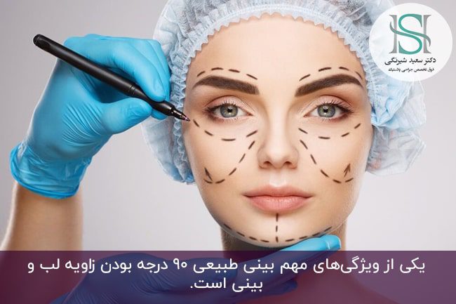 بینی طبیعی
